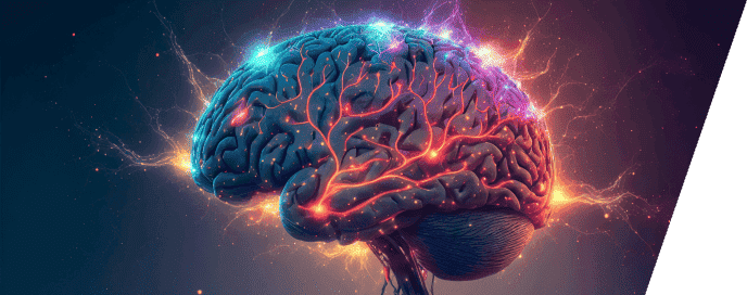 neuroscience